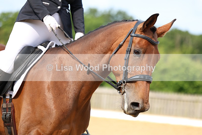 3E7A8774 - Class 1: Intro 1 2024 Section A