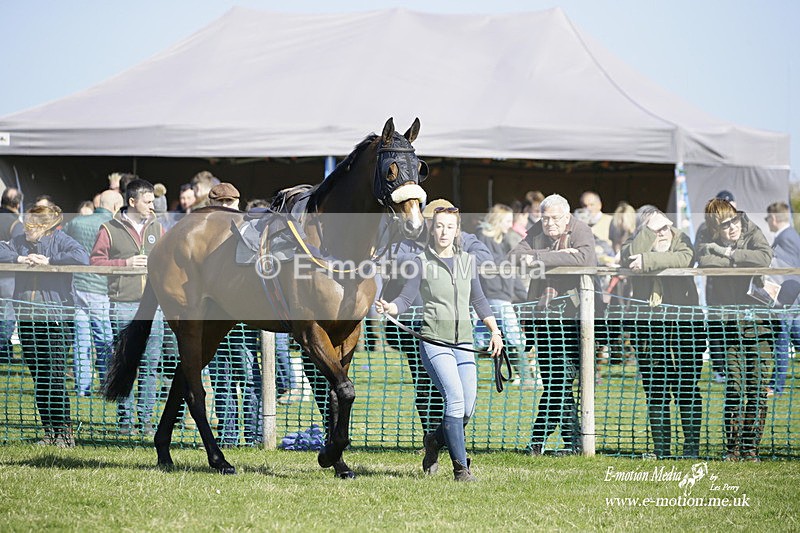 PtP 190322 438 - Wilton Hunt PtP Milborne St Andrew 19/03/22