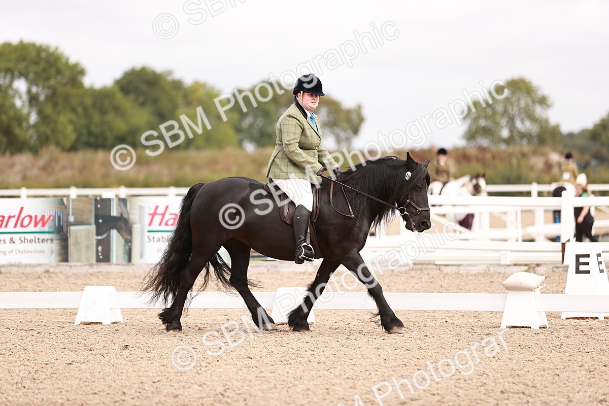 SBM_02461 - Class 35 - Intro 3