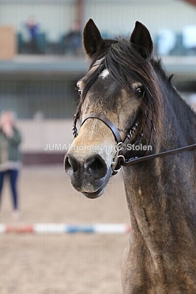 SIAL1088 - Indoor Classes