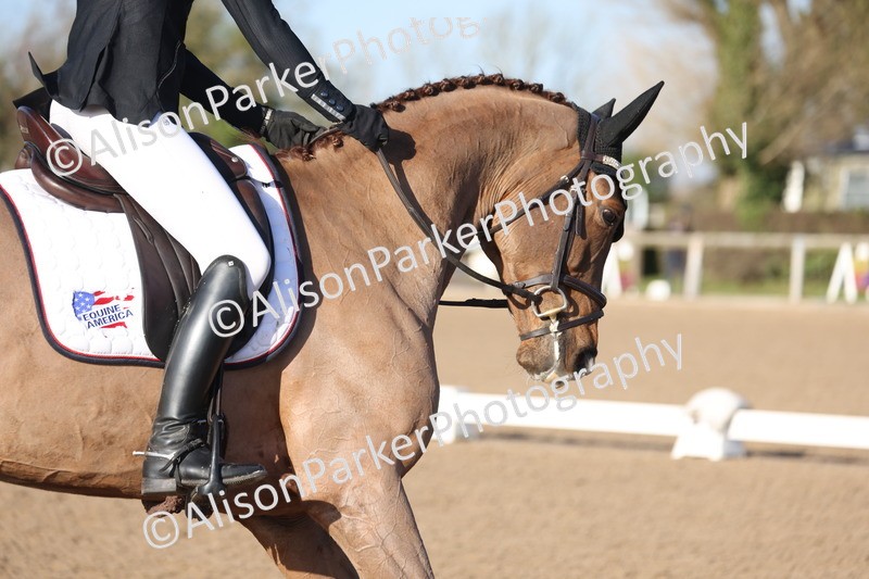 20260128-0182 - Class 3 - Novice 4