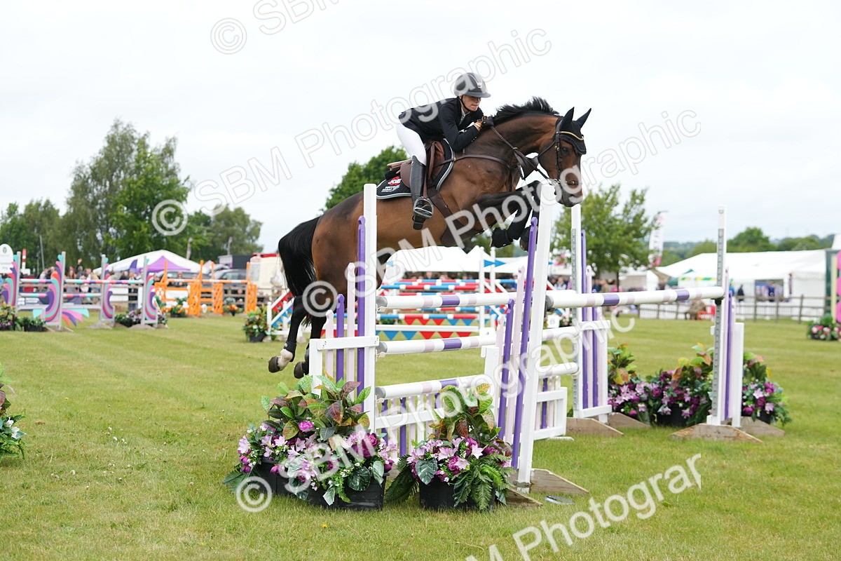 SBM_03086 - Class 201 - British Horse Feeds Speedi Beet Horse of the Year Show Grade  C
