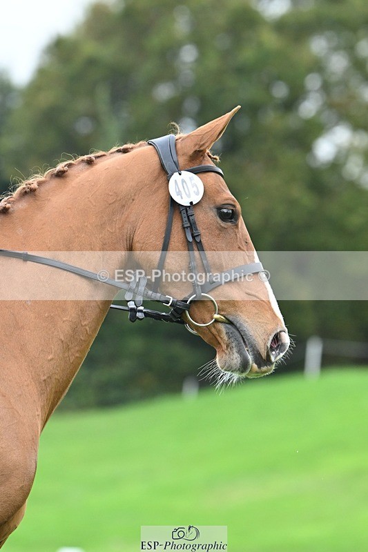 241024-095607-02898 - 405-Lucy.Strong-ON.PLANET.MARS