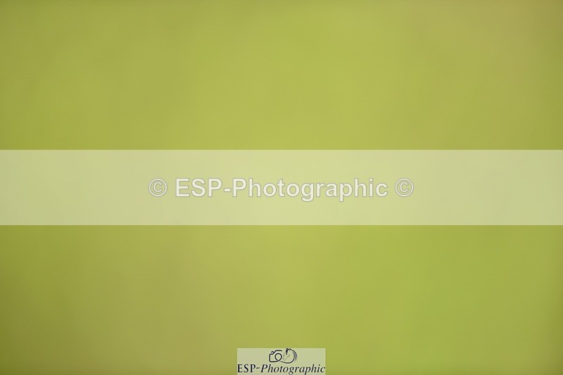 240523B-111708-01920 - 5 Year Old