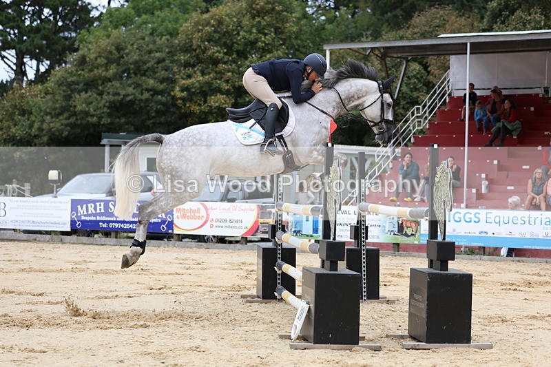 3E7A3336 - Class 9: Senior Foxhunter/1.20 open