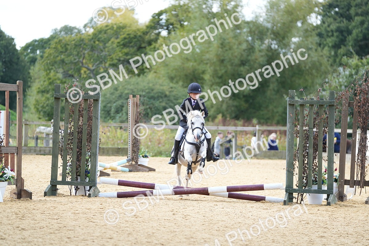 SBM_64493 - J2 - Mini Tour Junior Pony 30cm Championship