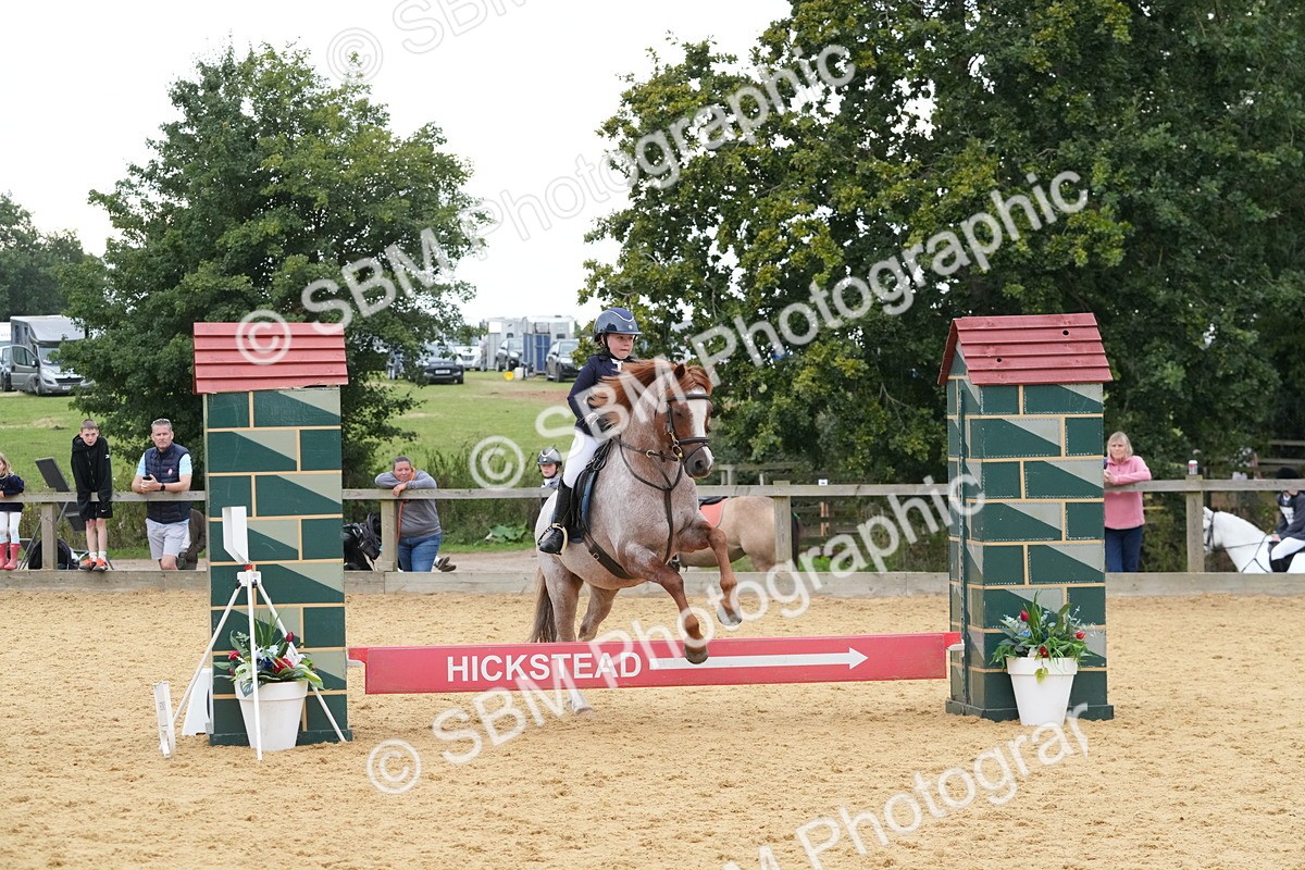 SBM_74524 - J4 - Mini Tour Junior Pony 45cm Championship