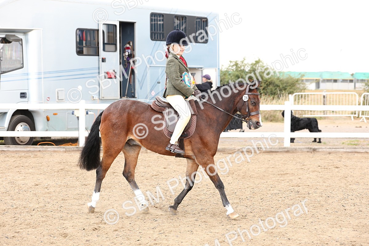 SBM_02962 - Class 53 - Ridden Competition Horse/Pony