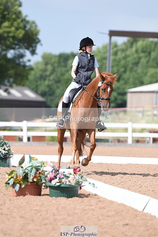 230701A-155656-07475 - Cls 11 Novice 34