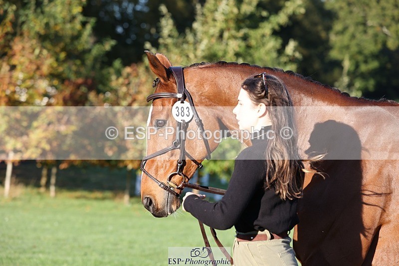 241027-084051-14742 - 383-Kirstin.Elisa.Evans-MONTY.GUIRY