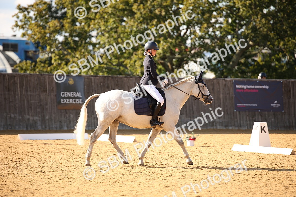 SBM_28281 - D11 - Small Tour Championship - Prelim 13