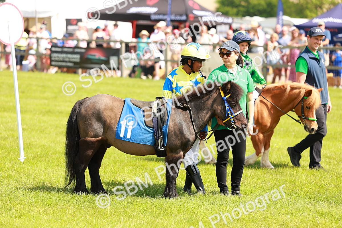 SBM_04334 - Shetland Grand National