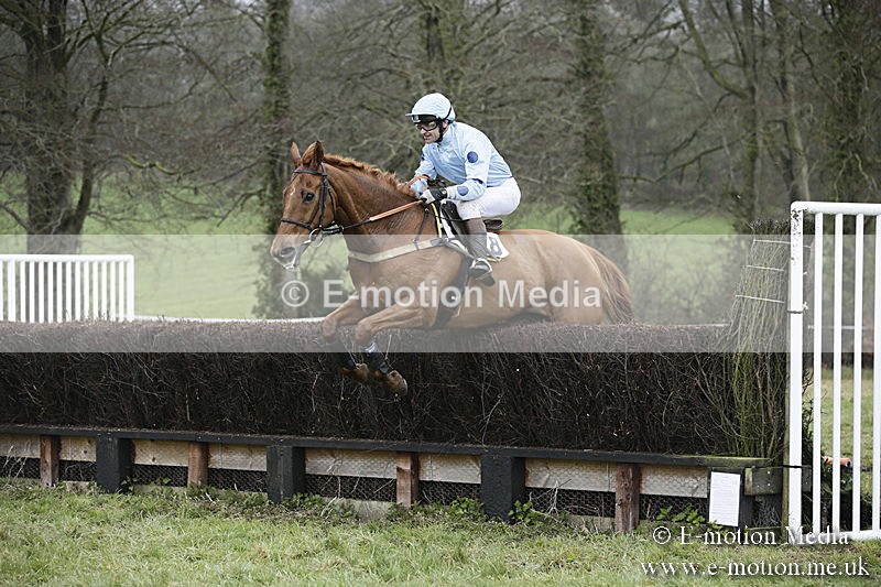 PtP 020418 -397 - Old Berks Point-to-Point Races Easter Monday 02/04/18