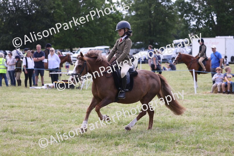 20260614-2095 - Class 21 - Novice Working Hunter Pony