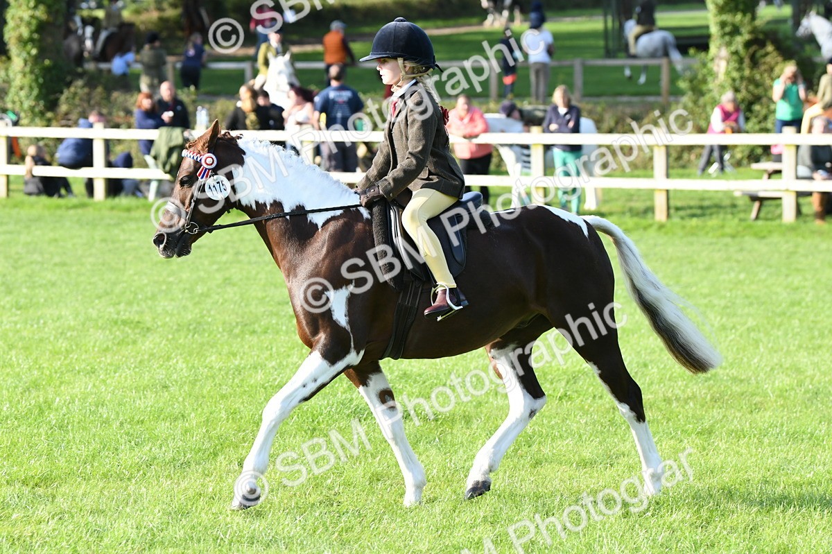 SBM_52410 - S22 - 1st Ridden Show & Show Hunter Pony