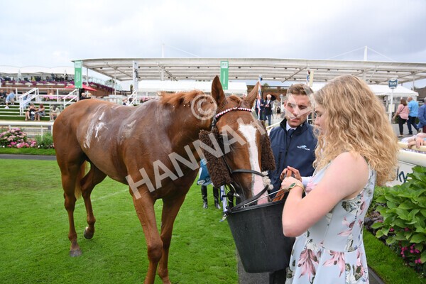 yr04092022r5-53 - Race 5 4.05pm Little Green Rascals Children's Nurseries Stakes