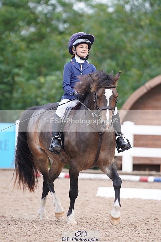 240809A-095804-00377 - Dressage Competition