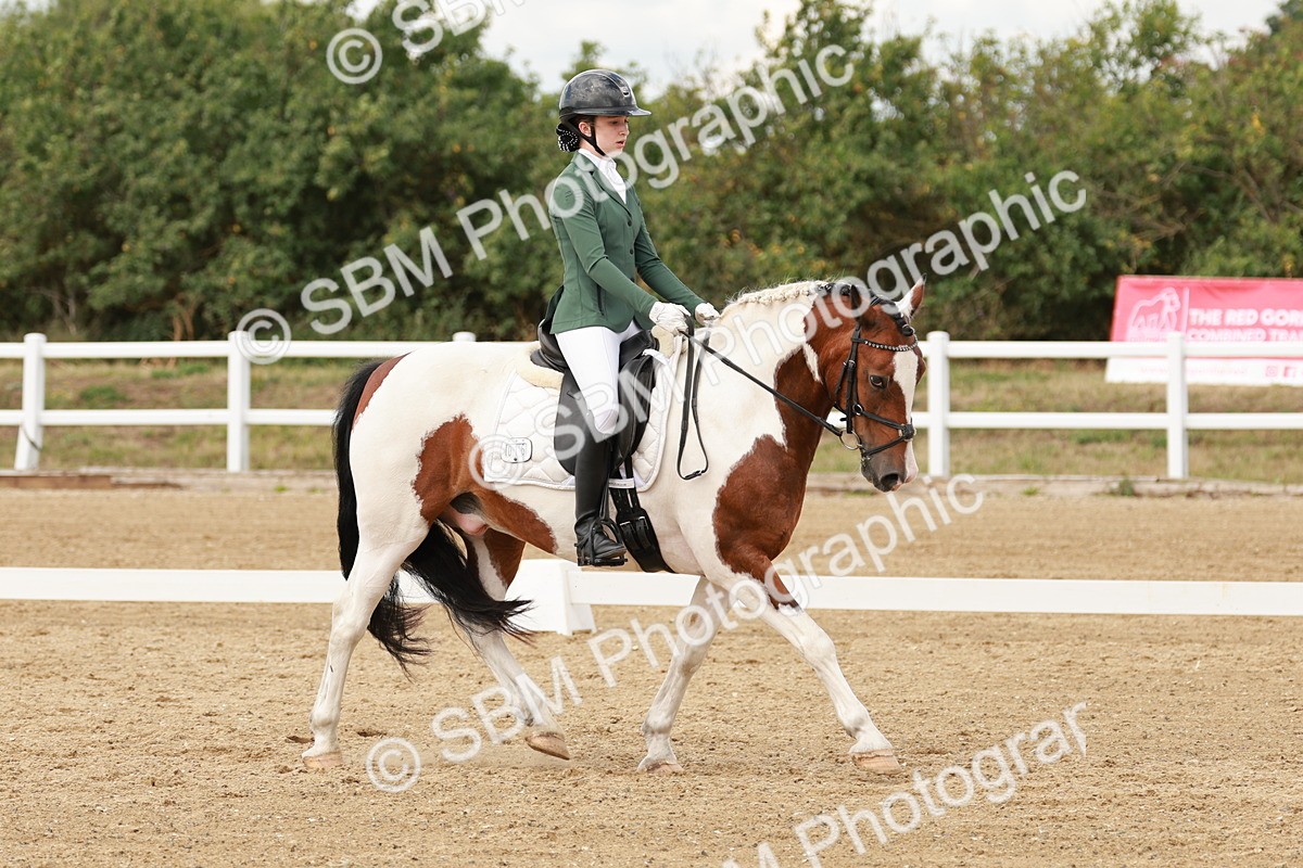 SBM_002206 - Classes 13, 19 - AM5 & FEI Pony Team Test