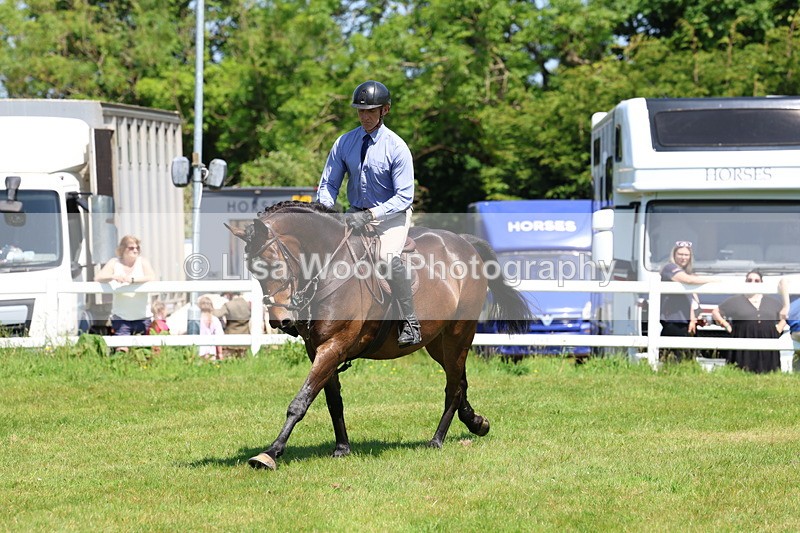 3E7A7216 - Class 30: Novice Working Hunter