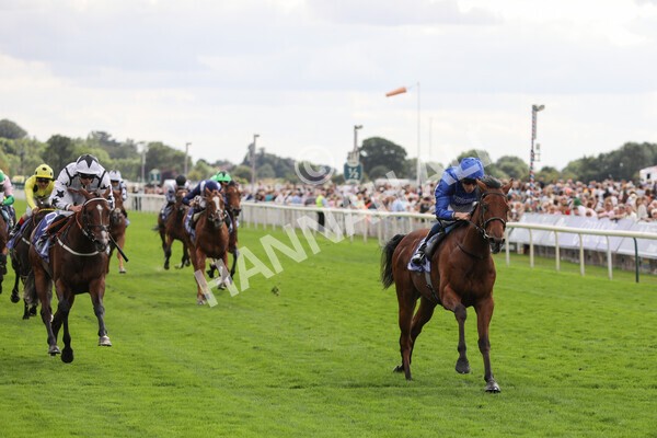 yr19082022r3-28 - Race 3 3.00pm Al Basti Equiworld Dubai Gimcrack Stakes