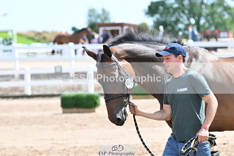 240717A-150150-02462 - Trot Up 3pm to 4pm