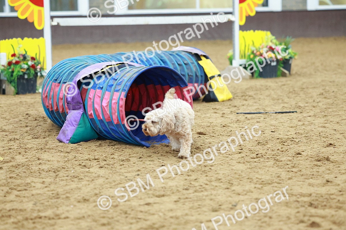 SBM_002360 - Class 3 - Horse & Hound (60cm)