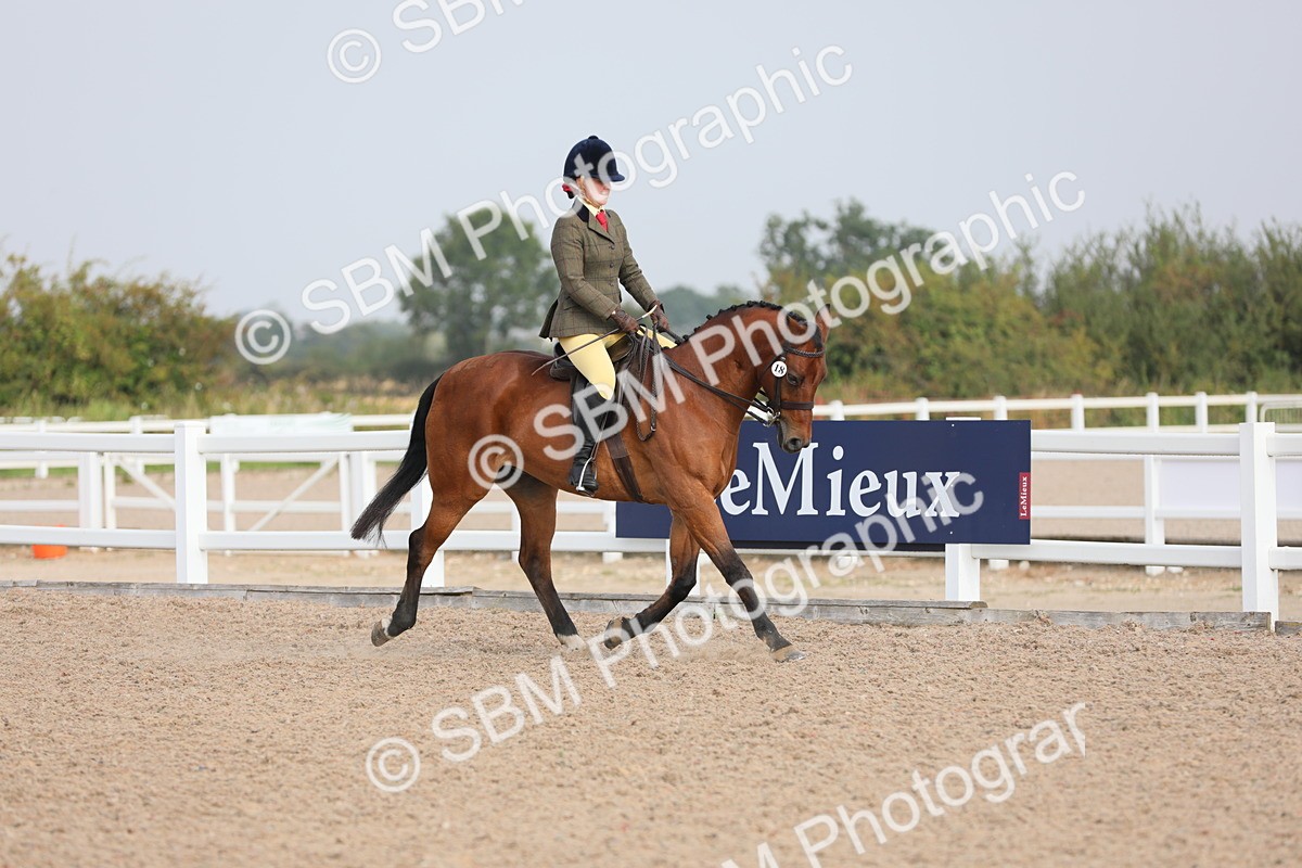 SBM_10867 - Class 304 Ridden Part Bred Horse/Pony