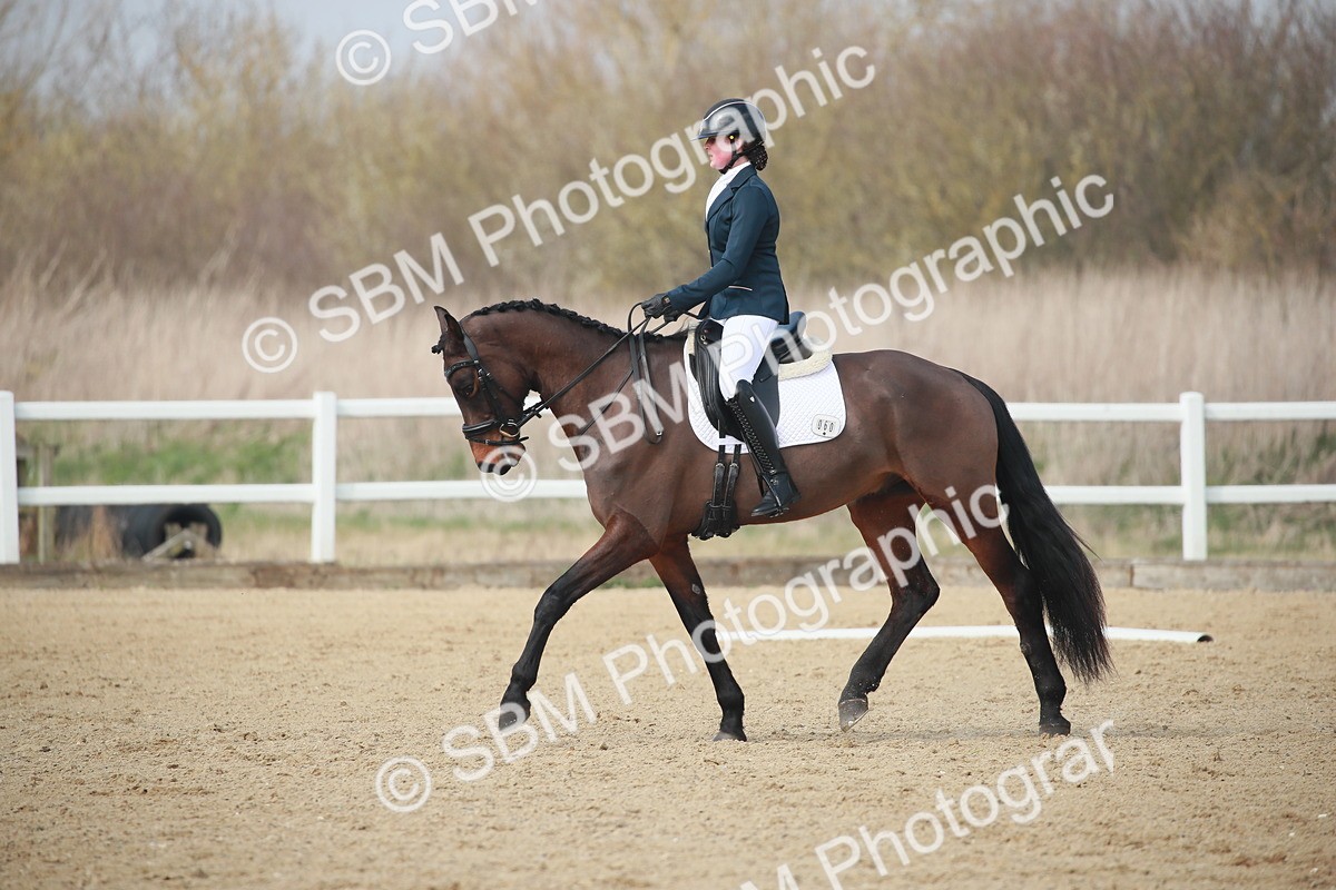 SBM_007310 - Class 16 - Novice 6