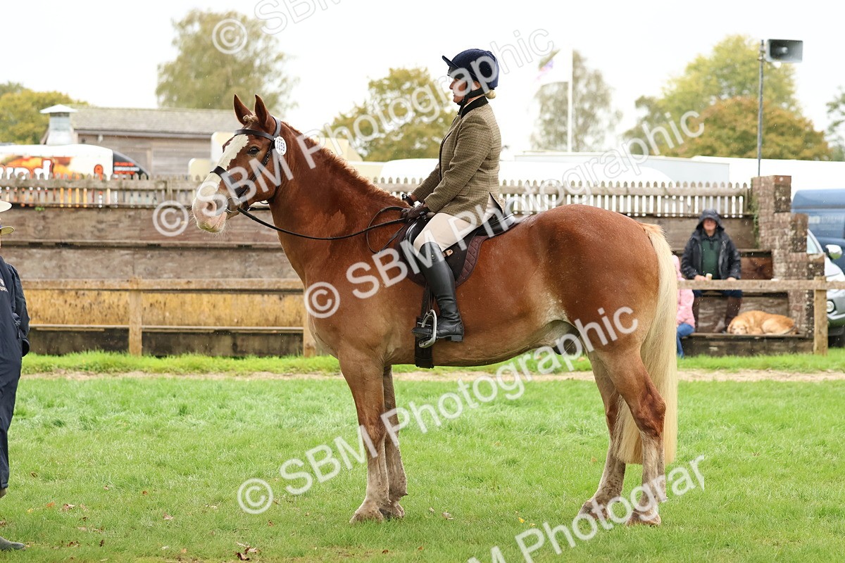 SBM_45056 - S27 - Young Veteran Ridden
