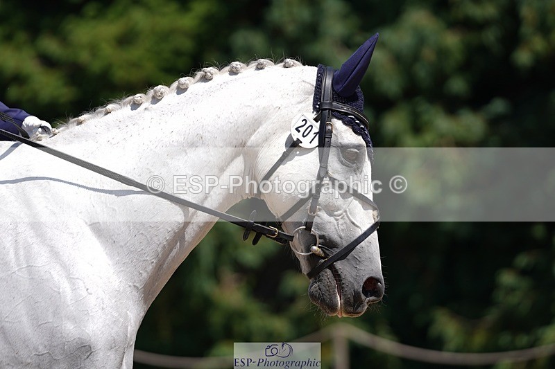 240719-133322-01915 - 201-Joanna_Philp-Darker_shade_of_pale