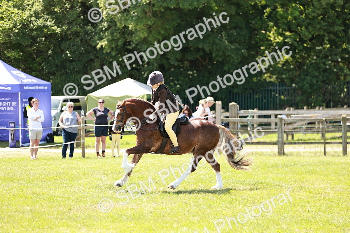 SBM_15508 - Class 108-109 - BSPS LIHS Open Gradle & Nursery Stakes