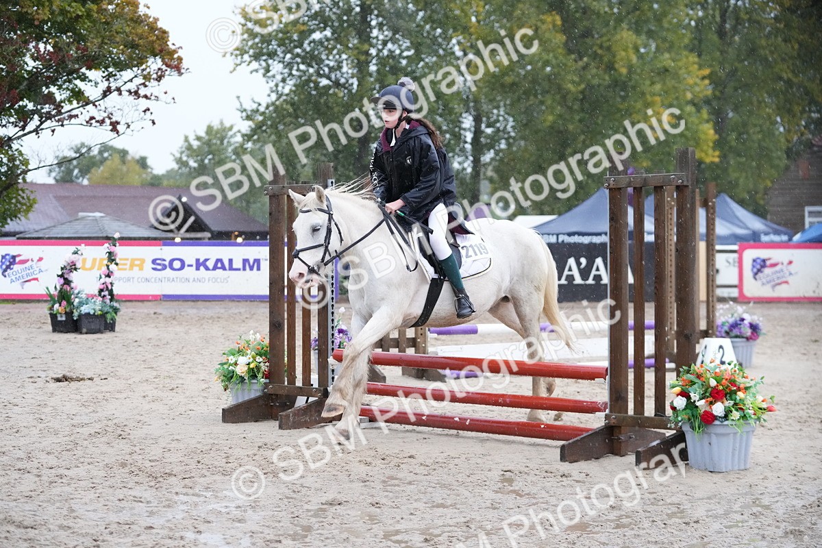 SBM_34125 - J5 - Junior Pony 50cm Championship