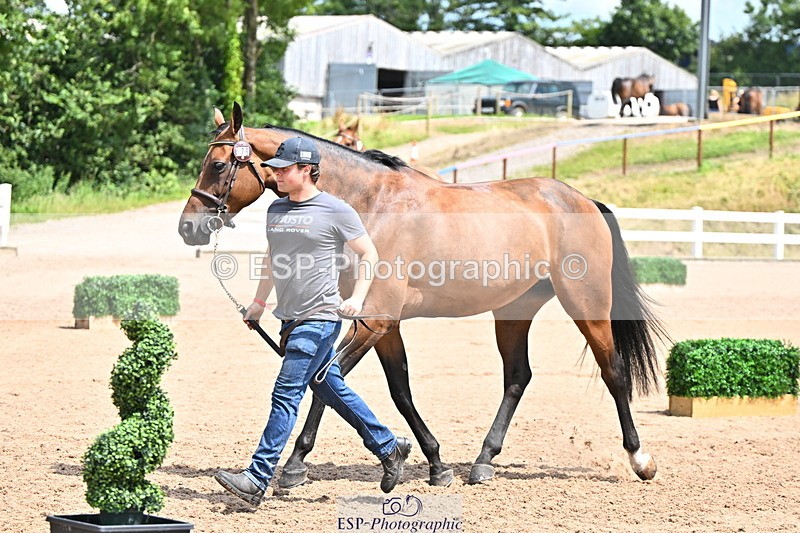 240718A-105303-01496 - Trot Up 12pm to 1pm