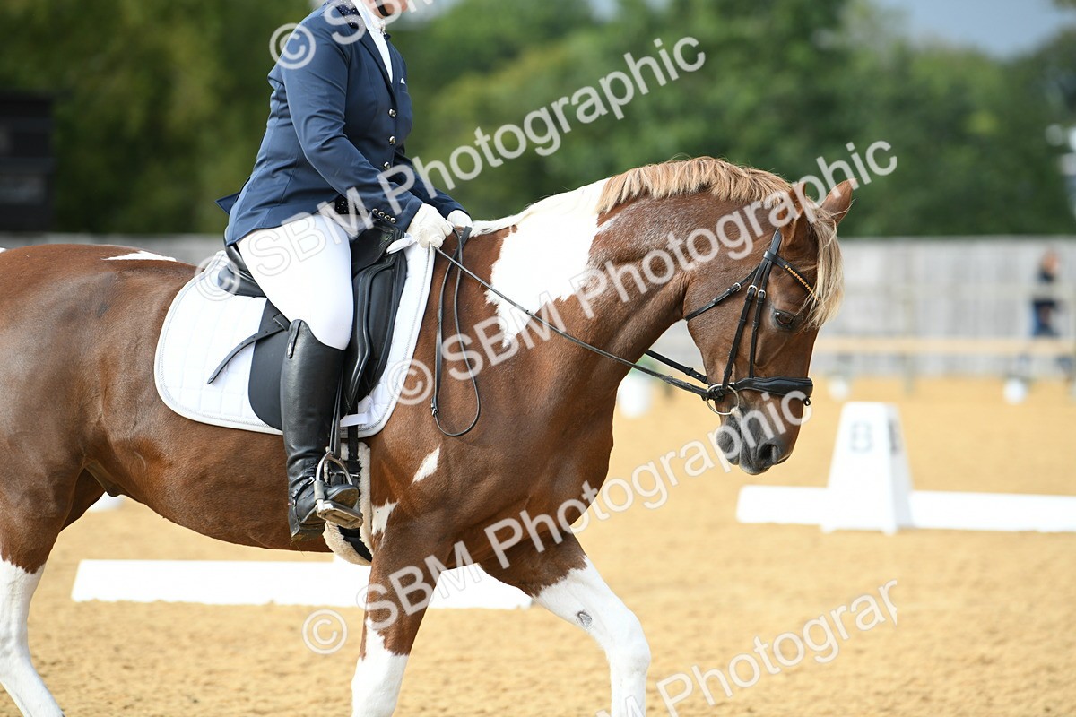 SBM_11054 - D28 Elementary Taster Elementary 42