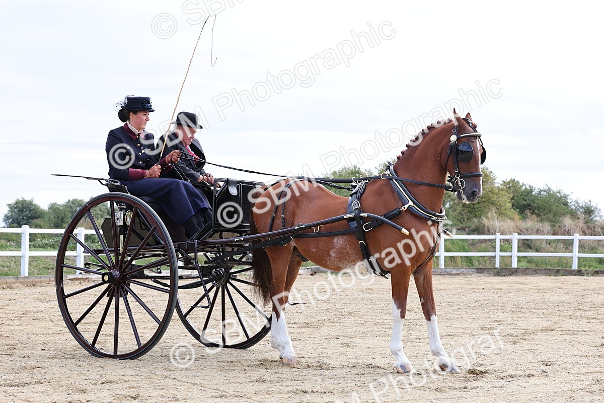 SBM_000464 - Class 4 - Junior Whip