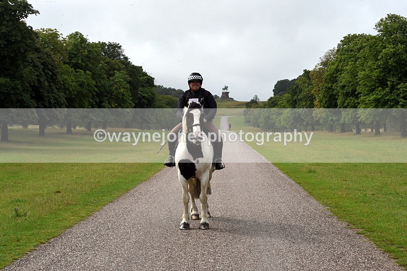 TT3_8264 - Time at Crossing 10:16 to 11:38