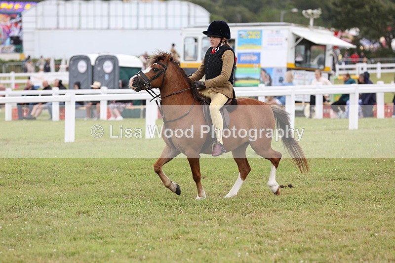 JPP_1746 - Class 18: Tiny Tots Working Hunter Pony