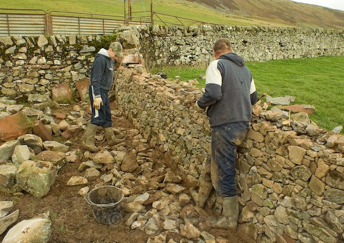11 - Rab - Drystone Dyker