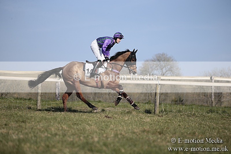 PtP 240218 223 - Vine & Craven Hunt Point-to-Point Barbury racecourse 24/02/18