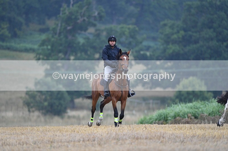 WJ5_2452 - Sofian Francis