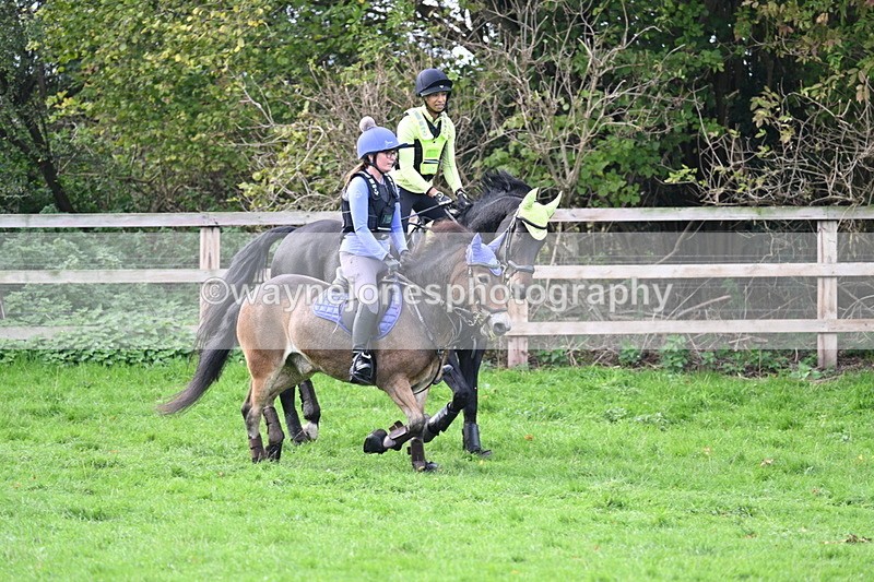 WJ7_8479 - Time 12:12 to 12:37