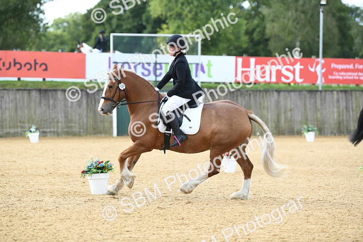 SBM_03107 - D7 Small Tour Championship Prelim 1