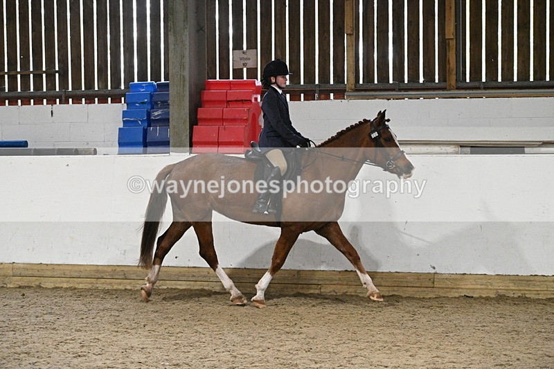 WJ7_4106 - Class 17 Ridden Cob