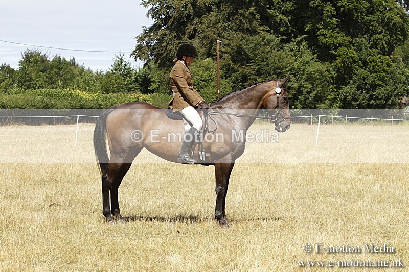 _BS_0831 - BVRC Show 2018 Ring 1