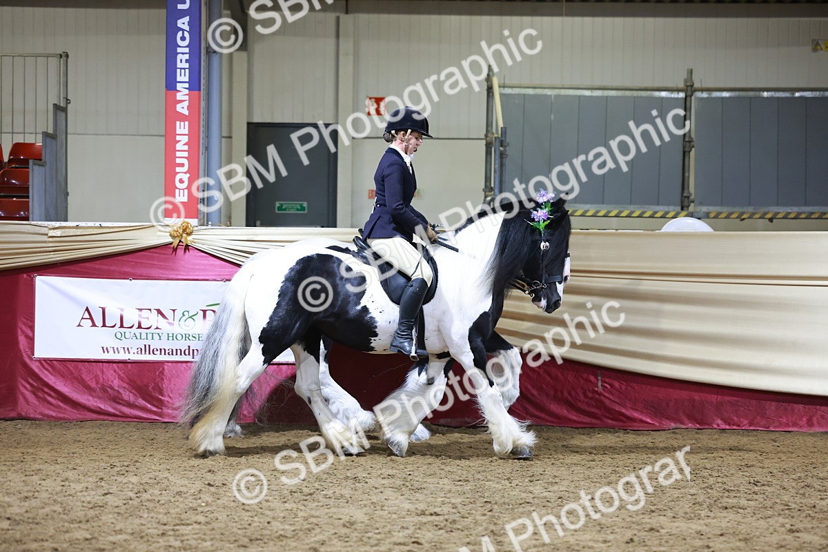 SBM_21547 - Class V - Champion of Champions