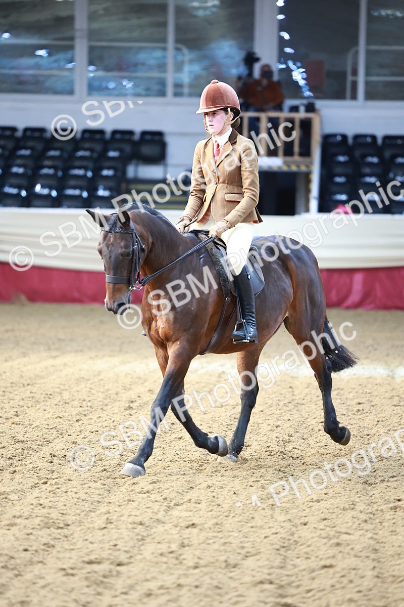 SBM_11848 - Class 102 - Equitation (Best Rider) Adult
