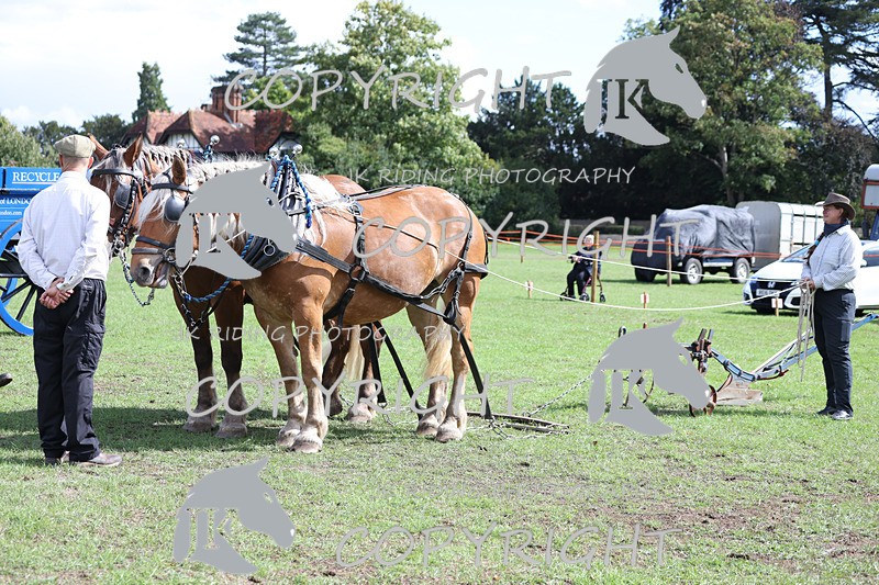 APP_3575 - Class 7 Turnout for a single or pair