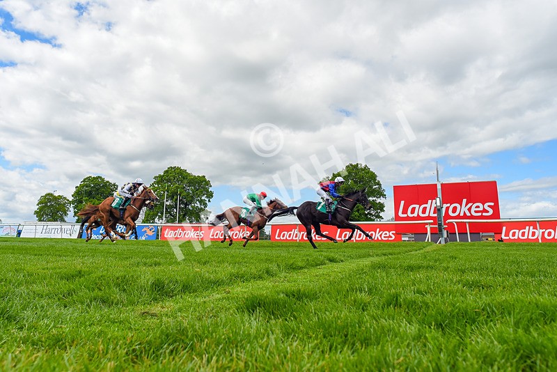 030525-Race 2-Under The Radar-3627 - Race 2