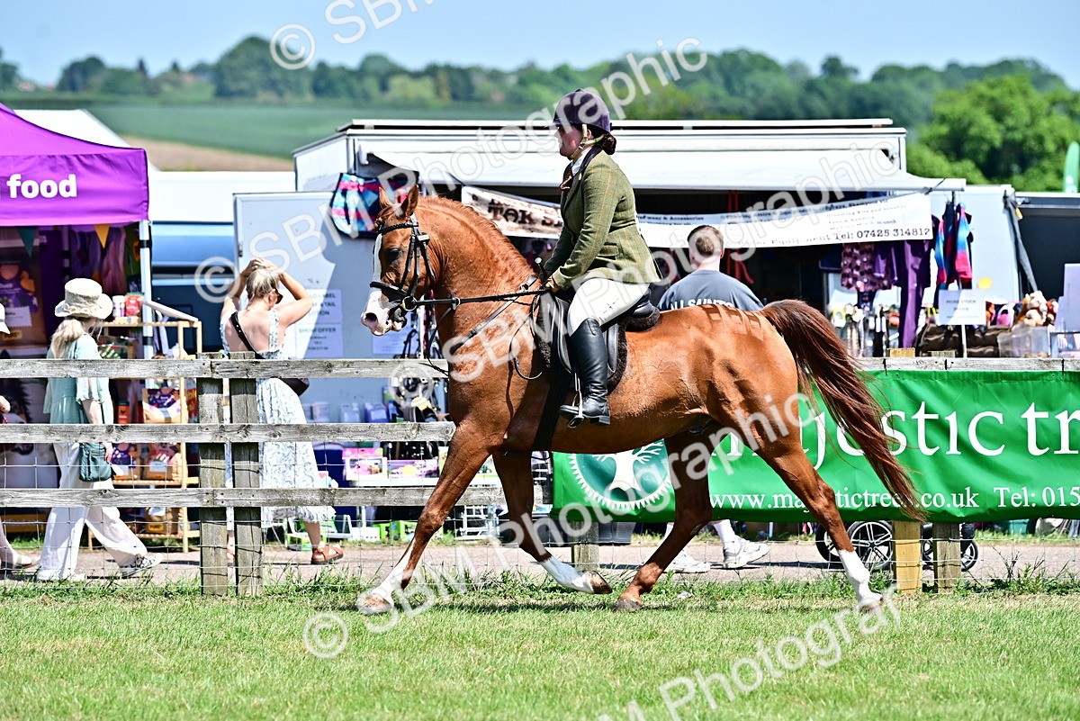 SBM_17457 - Class 95-97 - BSPS LHS Performance Ponies