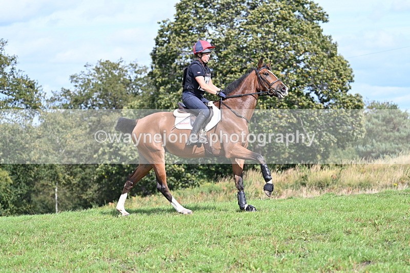 WJ7_2006 - Time 13:17 to 13:53